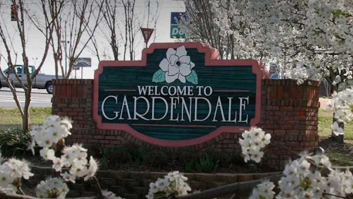 Folks enjoy Magnolia Festival in Gardendale 