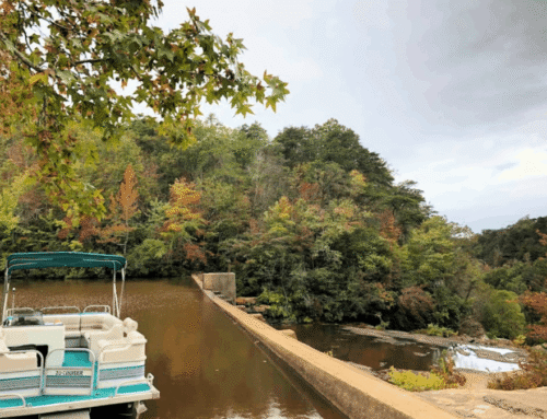 Thankful for Mentone, Alabama – Loving-Living-Green