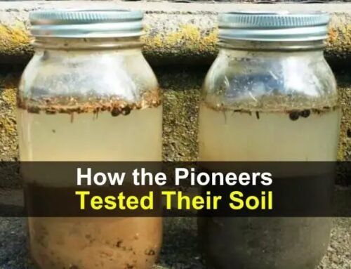 How Pioneers Tested Their Soil