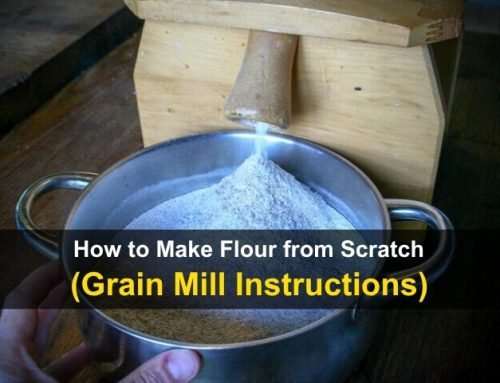How to Make Flour from Scratch (Grain Mill Instructions)