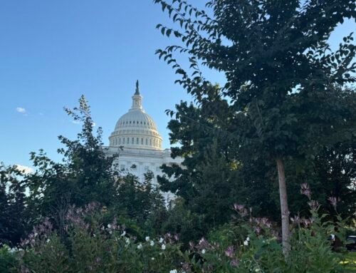 Senate GOP blocks effort to extend SNAP benefits for 42 million peopl…