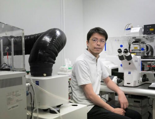 Japanese scientists race to create human eggs and sperm in the lab