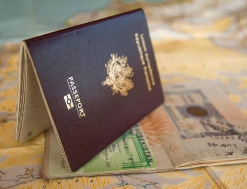 Delaware H-1B visas span education, health care and STEM fields