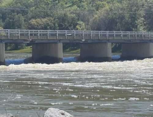 Bodies of 2 young siblings found in fast-moving Kings River
