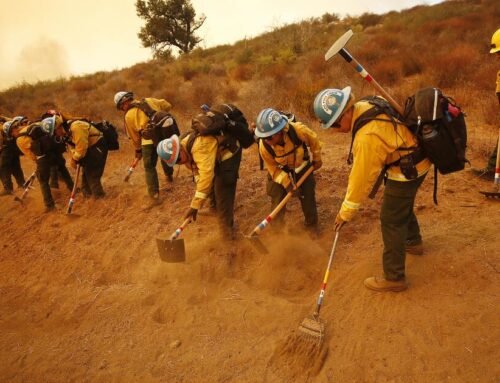 Will Biden’s new American Climate Corps match the success of the California Conservation Corps?