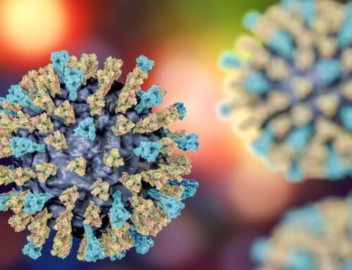 US now has 800 measles cases and outbreaks in several states – NBC Co…