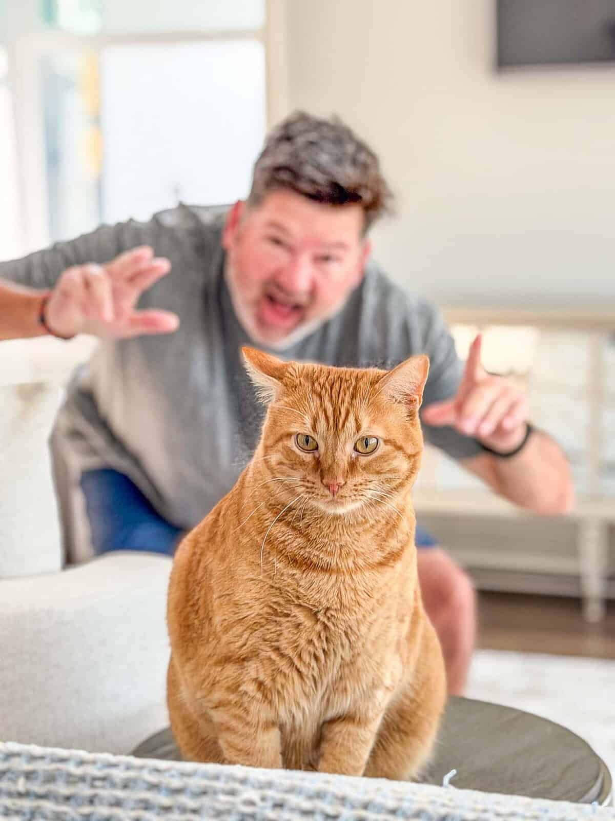 Meow Monday - Plain Chicken