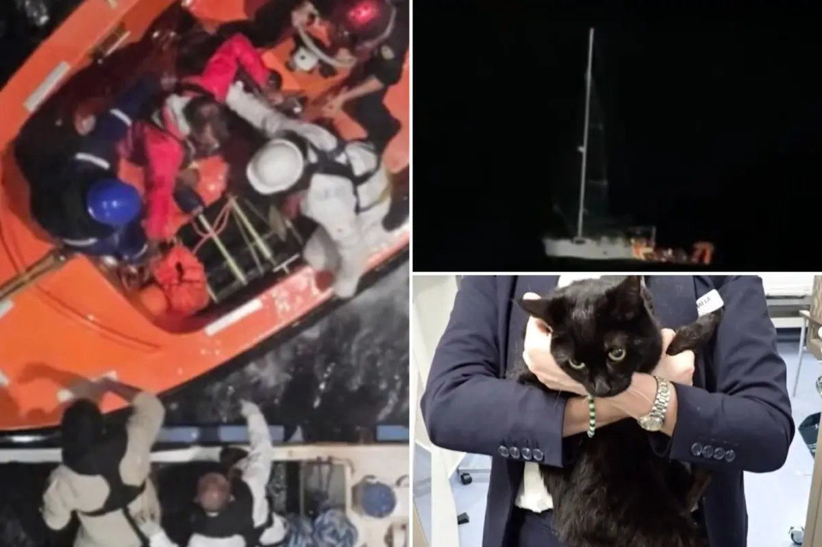 Cruise passengers witness terrifying rescue at sea as stranded man an...