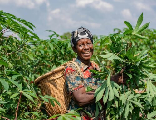 How Africa Can Leverage Successful Interventions to Build Resilient and Sustainable Agrifood Systems by 2035
