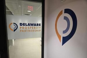 DPP committee hires search firm for next CEO