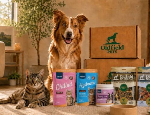 Hatching Time executives launch pet wellness brand
