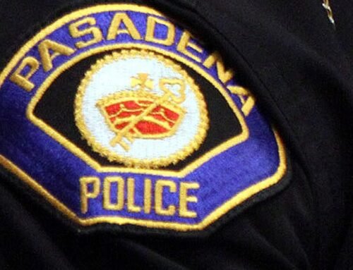 Pasadena police shoot, kill dog while responding to call, report says