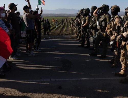 Professor charged with assaulting federal agents during Camarillo rai…