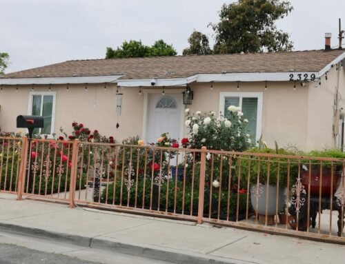 Alleged Santa Ana cat killer skips arraignment hearing