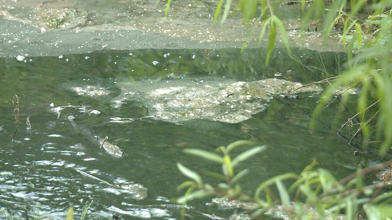 Sewage spill causing health concerns in Dallas Co. - WAKA 8