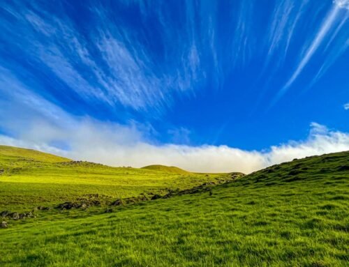 Hawaii County Weather Forecast for June 04, 2023 : Big Island Now